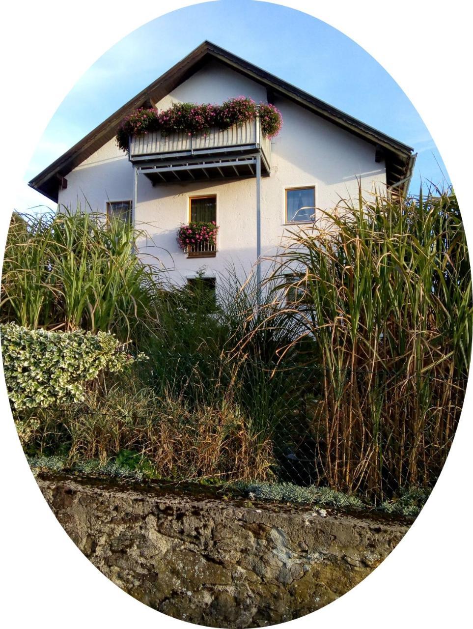 Ferienwohnung Uschkereit Waldmünchen Buitenkant foto